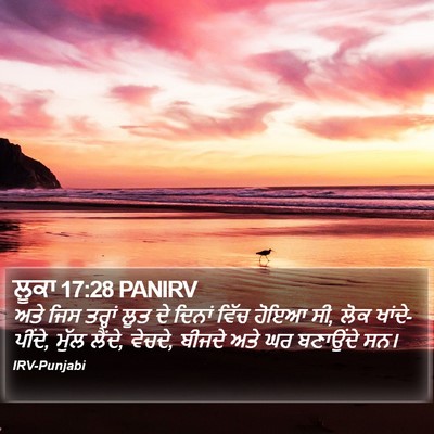 ਲੂਕਾ 17:28 PANIRV Bible Verse Image