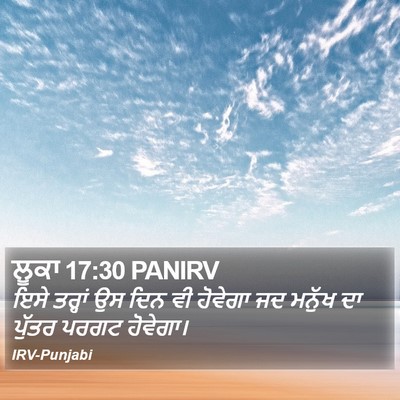ਲੂਕਾ 17:30 PANIRV Bible Verse Image