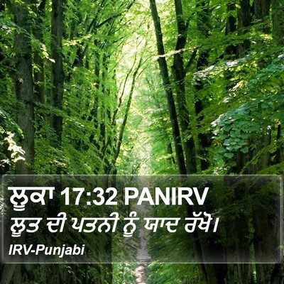 ਲੂਕਾ 17:32 PANIRV Bible Verse Image