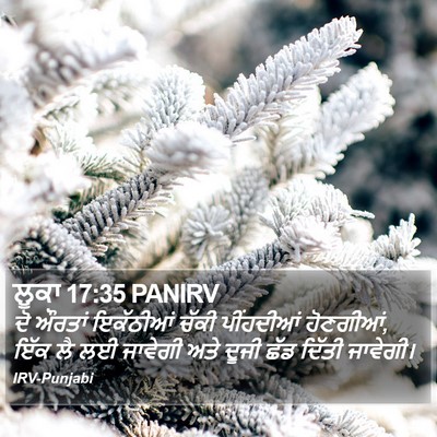ਲੂਕਾ 17:35 PANIRV Bible Verse Image