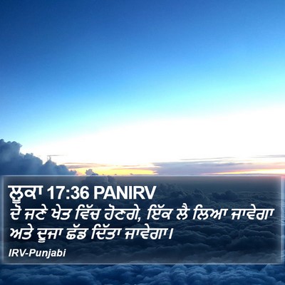 ਲੂਕਾ 17:36 PANIRV Bible Verse Image
