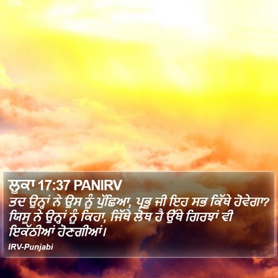 ਲੂਕਾ 17:37 PANIRV Bible Verse Image
