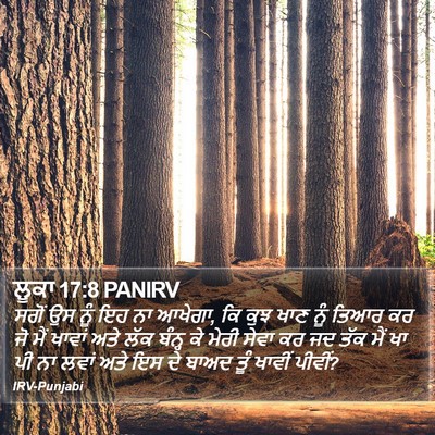 ਲੂਕਾ 17:8 PANIRV Bible Verse Image