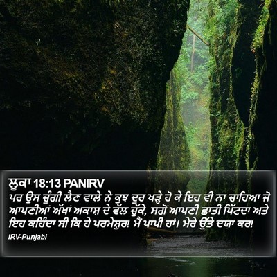 ਲੂਕਾ 18:13 PANIRV Bible Verse Image