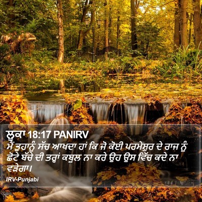 ਲੂਕਾ 18:17 PANIRV Bible Verse Image