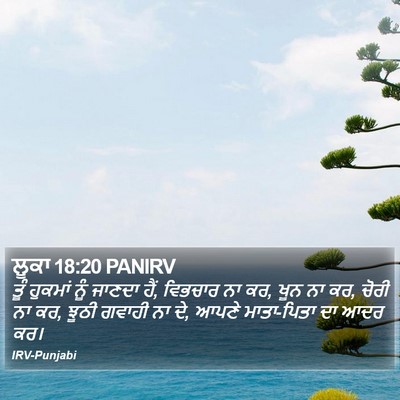 ਲੂਕਾ 18:20 PANIRV Bible Verse Image