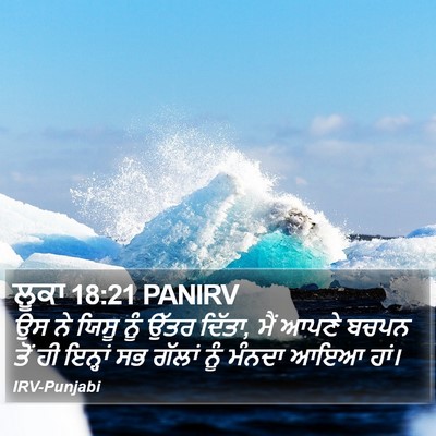 ਲੂਕਾ 18:21 PANIRV Bible Verse Image