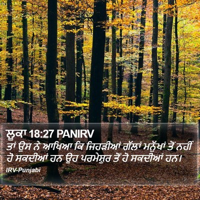 ਲੂਕਾ 18:27 PANIRV Bible Verse Image