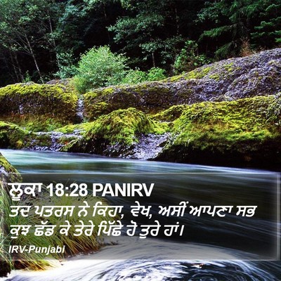 ਲੂਕਾ 18:28 PANIRV Bible Verse Image