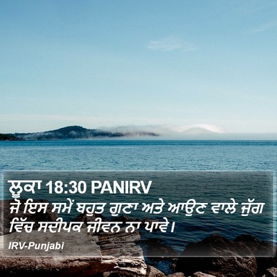 ਲੂਕਾ 18:30 PANIRV Bible Verse Image