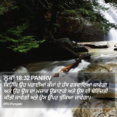 ਲੂਕਾ 18:32 PANIRV Bible Verse Image