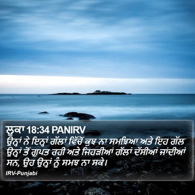 ਲੂਕਾ 18:34 PANIRV Bible Verse Image