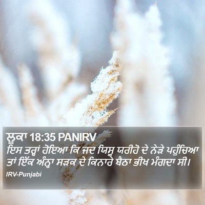ਲੂਕਾ 18:35 PANIRV Bible Verse Image