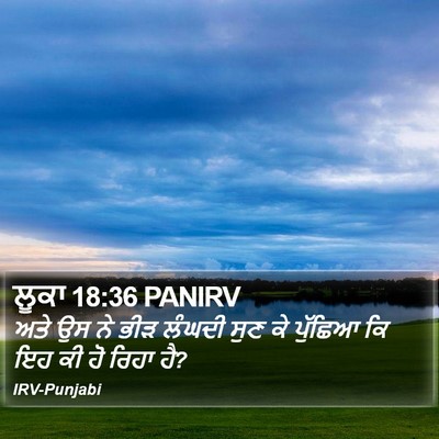 ਲੂਕਾ 18:36 PANIRV Bible Verse Image