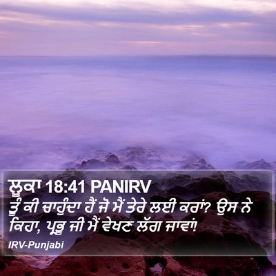 ਲੂਕਾ 18:41 PANIRV Bible Verse Image