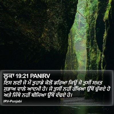 ਲੂਕਾ 19:21 PANIRV Bible Verse Image