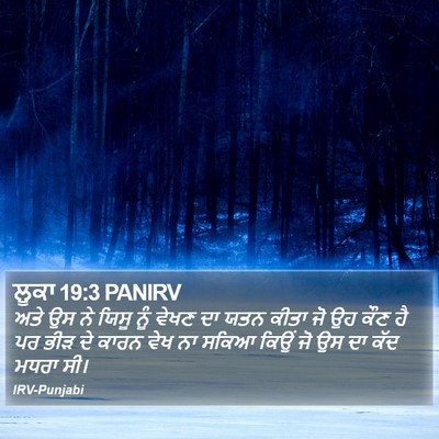 ਲੂਕਾ 19:3 PANIRV Bible Verse Image