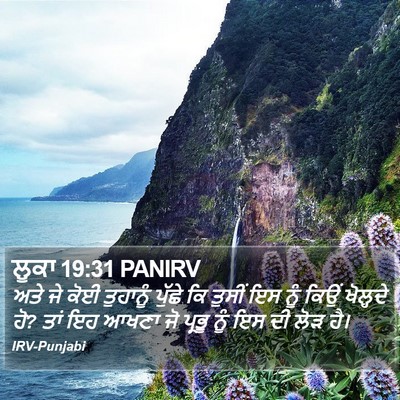 ਲੂਕਾ 19:31 PANIRV Bible Verse Image