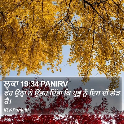 ਲੂਕਾ 19:34 PANIRV Bible Verse Image