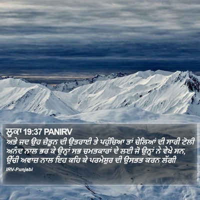 ਲੂਕਾ 19:37 PANIRV Bible Verse Image