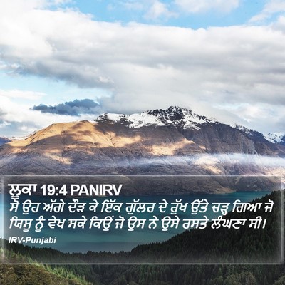ਲੂਕਾ 19:4 PANIRV Bible Verse Image
