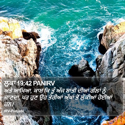 ਲੂਕਾ 19:42 PANIRV Bible Verse Image