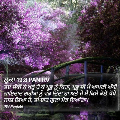 ਲੂਕਾ 19:8 PANIRV Bible Verse Image