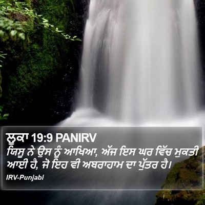 ਲੂਕਾ 19:9 PANIRV Bible Verse Image