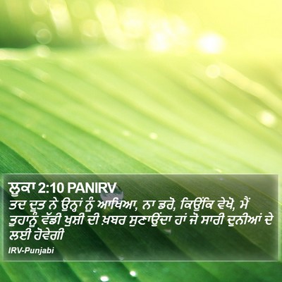ਲੂਕਾ 2:10 PANIRV Bible Verse Image