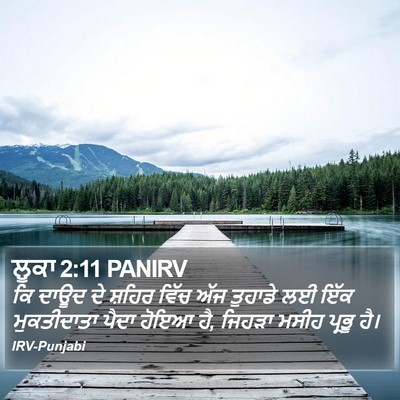 ਲੂਕਾ 2:11 PANIRV Bible Verse Image