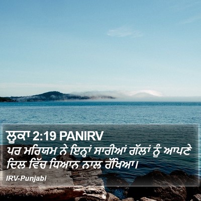 ਲੂਕਾ 2:19 PANIRV Bible Verse Image