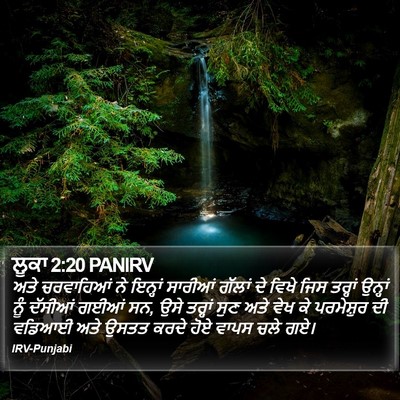 ਲੂਕਾ 2:20 PANIRV Bible Verse Image