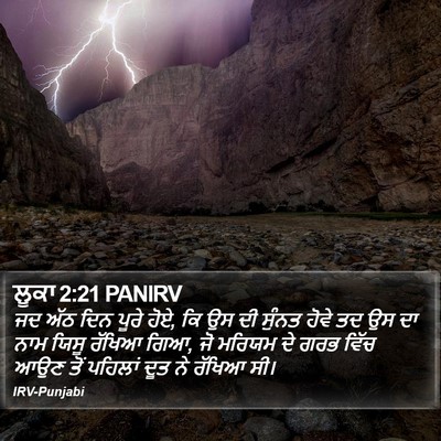 ਲੂਕਾ 2:21 PANIRV Bible Verse Image