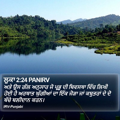 ਲੂਕਾ 2:24 PANIRV Bible Verse Image