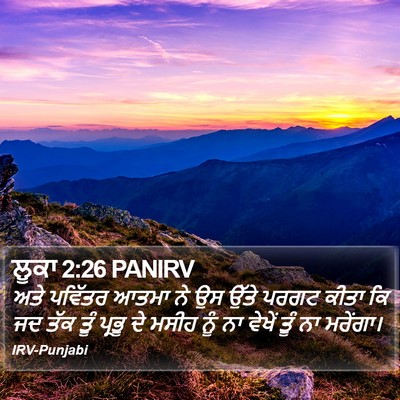 ਲੂਕਾ 2:26 PANIRV Bible Verse Image