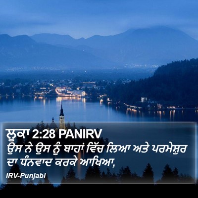ਲੂਕਾ 2:28 PANIRV Bible Verse Image
