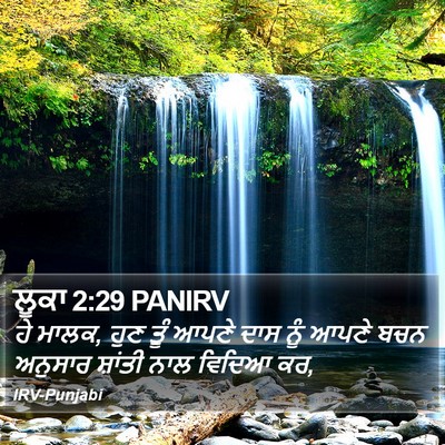 ਲੂਕਾ 2:29 PANIRV Bible Verse Image