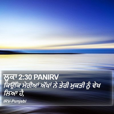 ਲੂਕਾ 2:30 PANIRV Bible Verse Image