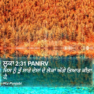 ਲੂਕਾ 2:31 PANIRV Bible Verse Image