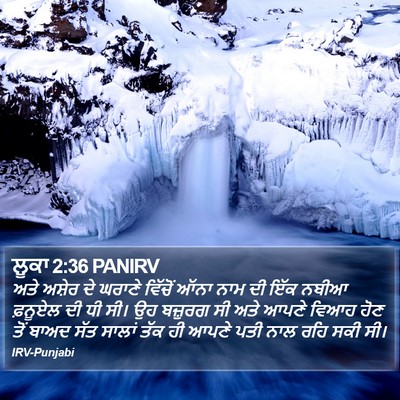 ਲੂਕਾ 2:36 PANIRV Bible Verse Image