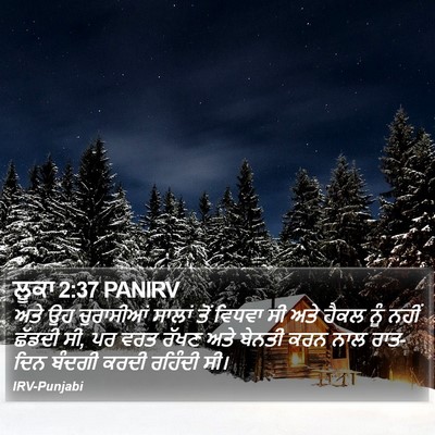 ਲੂਕਾ 2:37 PANIRV Bible Verse Image