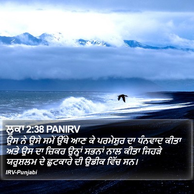 ਲੂਕਾ 2:38 PANIRV Bible Verse Image