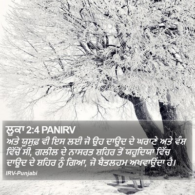 ਲੂਕਾ 2:4 PANIRV Bible Verse Image