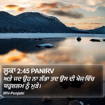 ਲੂਕਾ 2:45 PANIRV Bible Verse Image