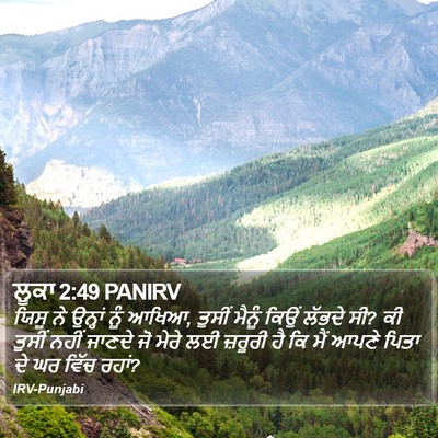 ਲੂਕਾ 2:49 PANIRV Bible Verse Image