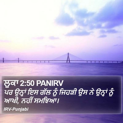 ਲੂਕਾ 2:50 PANIRV Bible Verse Image