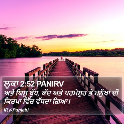 ਲੂਕਾ 2:52 PANIRV Bible Verse Image