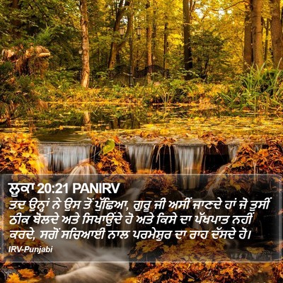 ਲੂਕਾ 20:21 PANIRV Bible Verse Image