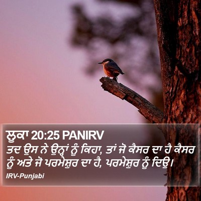 ਲੂਕਾ 20:25 PANIRV Bible Verse Image
