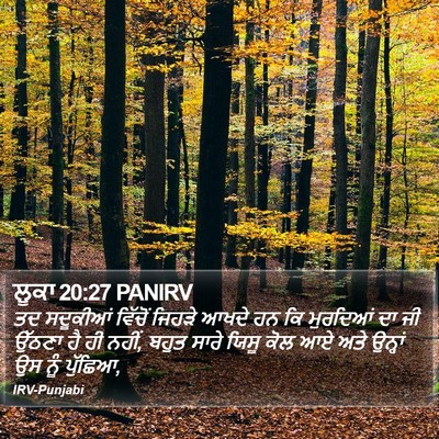 ਲੂਕਾ 20:27 PANIRV Bible Verse Image